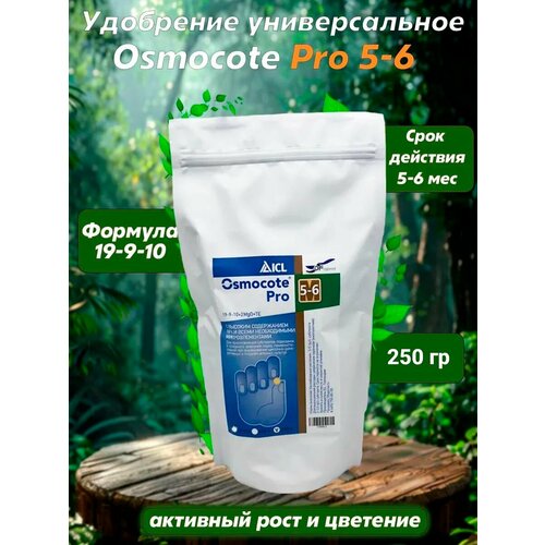 ���������� ��������� (Osmocote) ������� ��� (19-09-10+��) 5-6 ��� 250 ��.