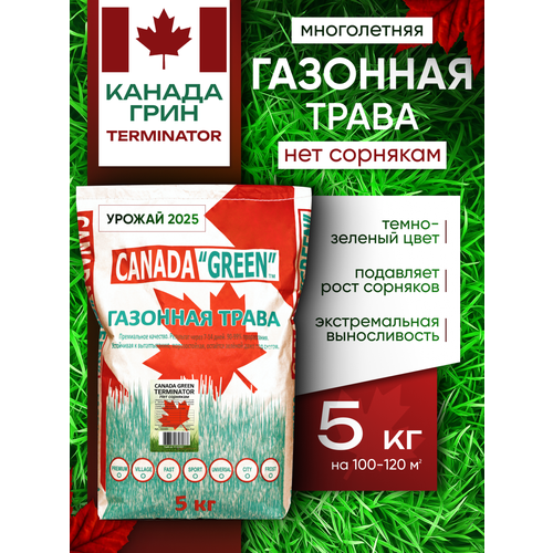 ���������� �������� ����� ������ ������ ���� ��� �������� 5�� / Canada Green Terminator 5��