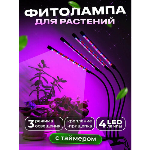 ���������� ��������� 