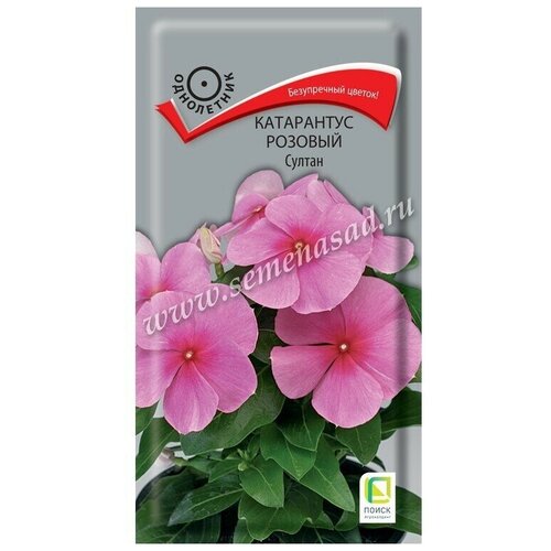 ���������� ������ ���������� ������� ������ ���������� 0,1 ��.