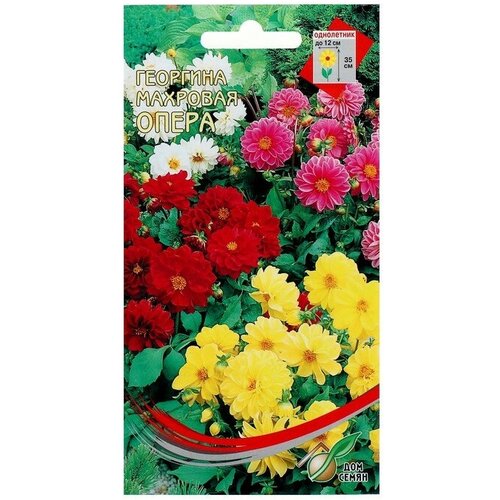 ���������� ������ ������ �������� �������� 