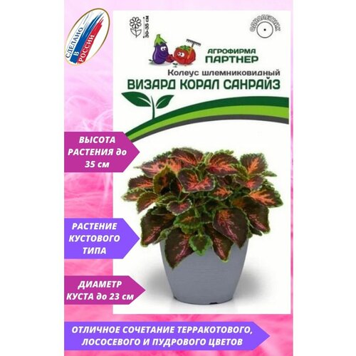 ���������� ������ ������� ��������������� 