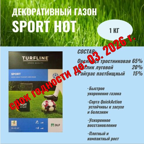���������� ������ �������� ����� DLF Sport Hot (���������������� ���������� �����) 1��