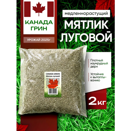 ���������� ������ ������� ������ 100% Canada Green, 2 ��