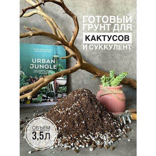 ���������� ������� ����� ��� ����������� � �������� 3,5 �����, Terracotta Plants � ��������