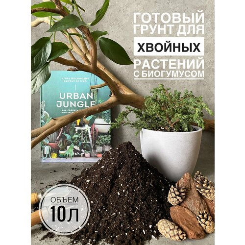 ���������� ������� ����� ��� ������� �������� � �������� 10 ������ �� Terracotta Plants