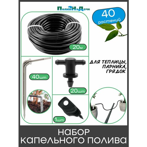 ���������� ����� ���������� ������ �� 40 �������� ��� �������, �������, ������