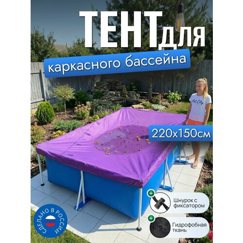 ���������� ���� ��� ���������� �������� 220�150 ��, �������������, ����������