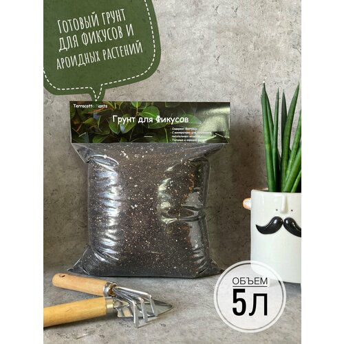 ���������� ������� ����� ��� ������� � �������� �������� Terracotta Plants, 5 ������