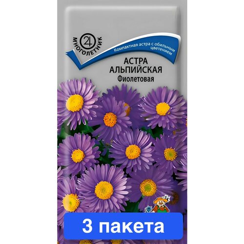 ���������� ������ ������ ����� 