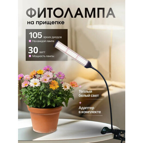 ���������� ��������� �� �������� 1 �����, ��������� , ��������� ��� �������� , ��������� ��� ������� , ������������ ��������� , ��������� ��� ������