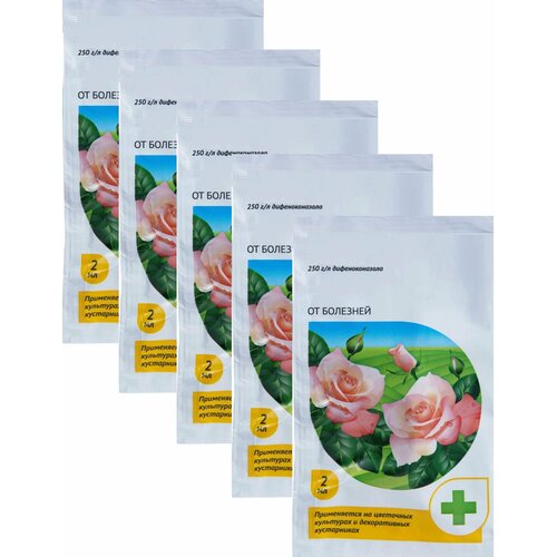 ���������� �������� �� �������� ��� � ������ ��������� �������, 5 ����� �� 2 ��. ����������� �������� ��� ������ � ������������� ��������� ����, ����� ����� � ������ �����������