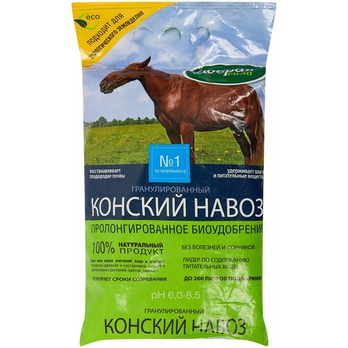 ���������� ������ ���� ��������� ������ ���� ������� ����� ���������������, 2 ��