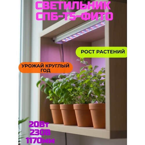 ���������� ���������� ������������ ���-�5-���� 20�� 230B 1170�� IN HOME