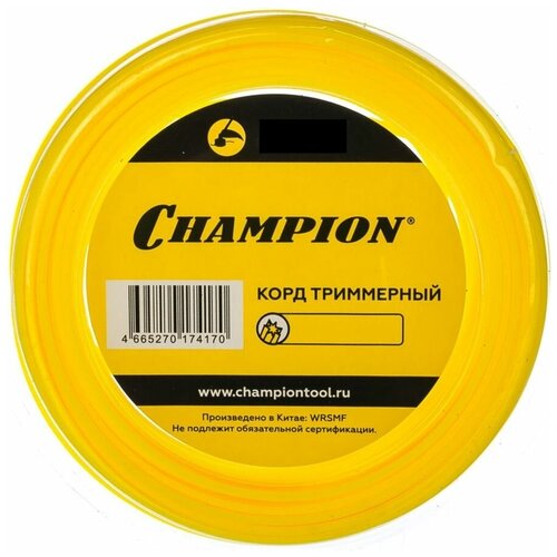     CHAMPION C5025, 2.4, 12   , -, 