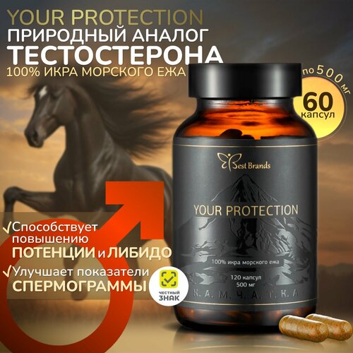 YOUR PROTECTION - 100%   .    . (60 )   , -, 