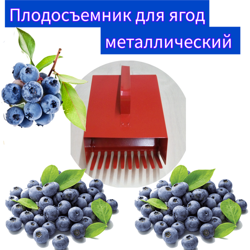 ���������� ������� ������������� ��� ����� ���� ������� /��������