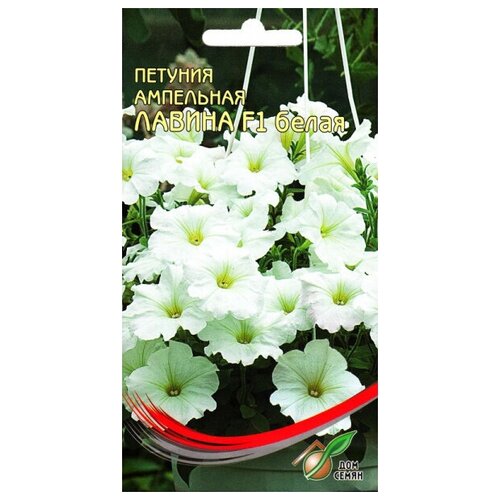 ���������� ������� ��������� F1 ������ �����, 20 �����