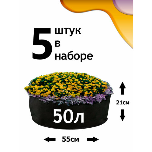 ���������� ������ �� ����������� - 50� - 5��