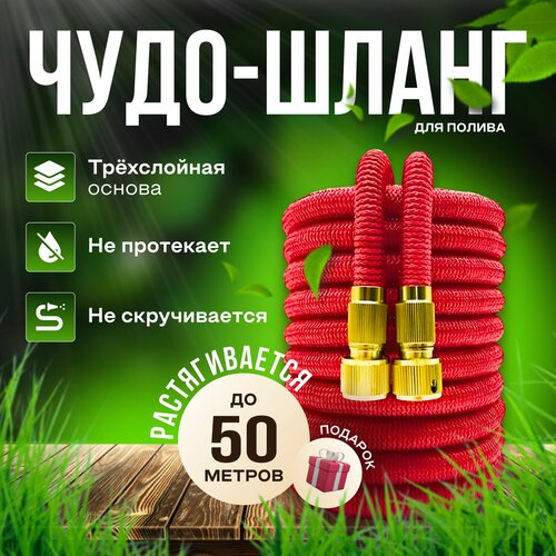 ���������� ����� ������� ��������������� 50 ������ ��� ������ � ������������ � ������������/ 50 ������ ������� � ������������� �����������, ����������