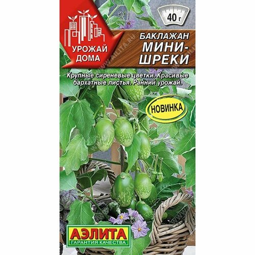 ���������� ������ �������� ����-����� (������) 10�� ������ ����