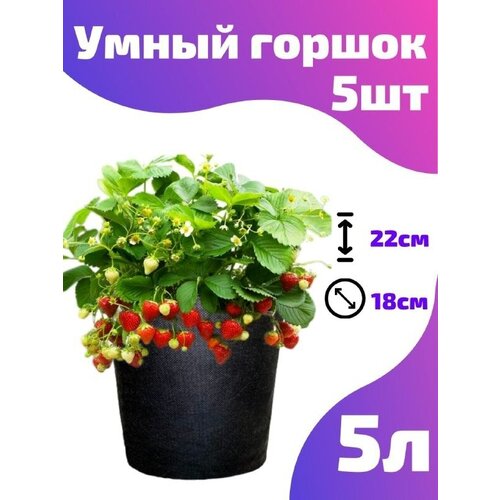    , ,  Smart Pot - 5  5 .   , -, 