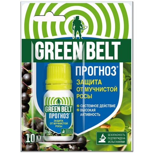 ���������� Green Belt �������� ��� ������ �� ��������� ���� �������, 10 ��, 33 �