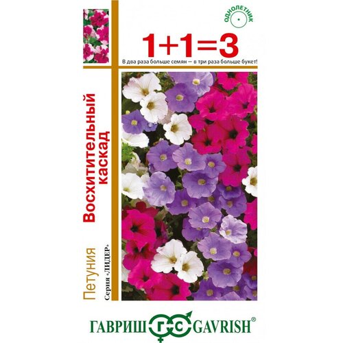 ���������� ������ ������� ��������� �������������� ������, �����, 10��, ������, ����� ����� 1+1