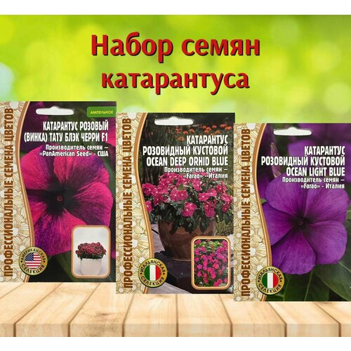 ���������� ������ ��������� �������� � ������ ���������� ����� 3 ��.