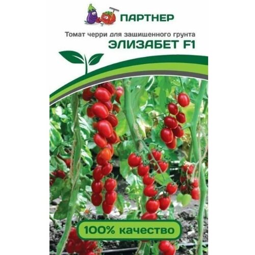 ���������� ������ ����� ����� 