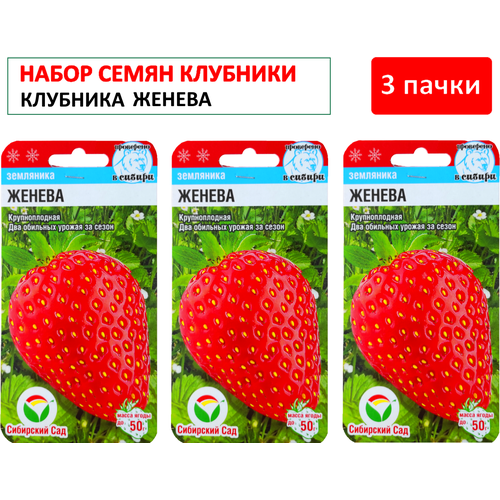 ���������� �������� 3 �����: ������ �������� ������ �������������, ��������� ���, 10 ��.