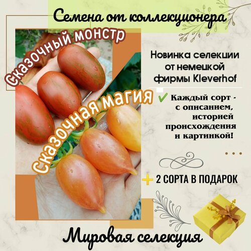 ���������� ������ 