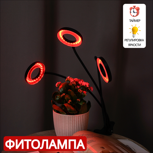 ���������� ��������� ��� ��������, ������ � �������