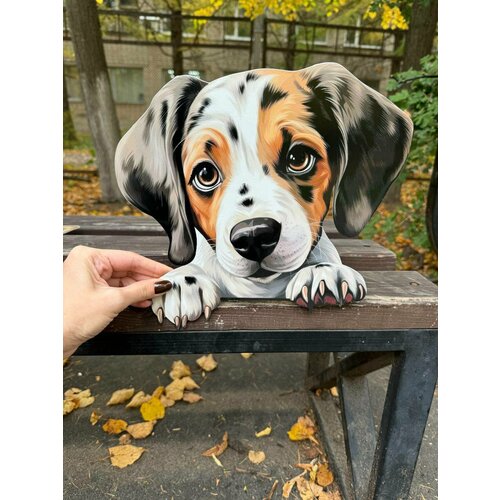 ���������� ����� �� ������� ��� ����, ���� 