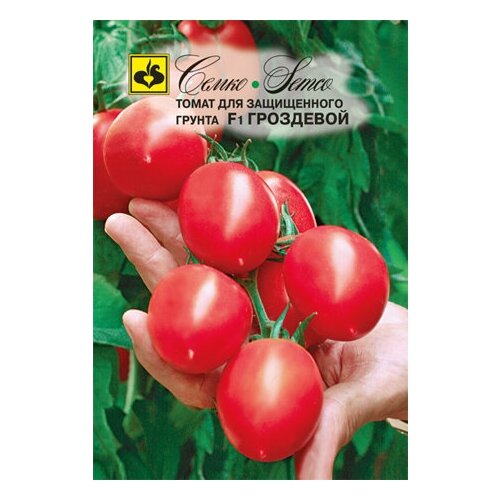 ���������� ������ ����� ��������� F1 5 �� �����