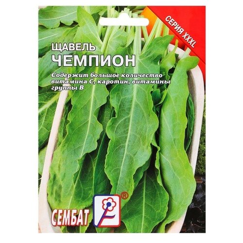 ���������� ������ ������ ������� 2� ������