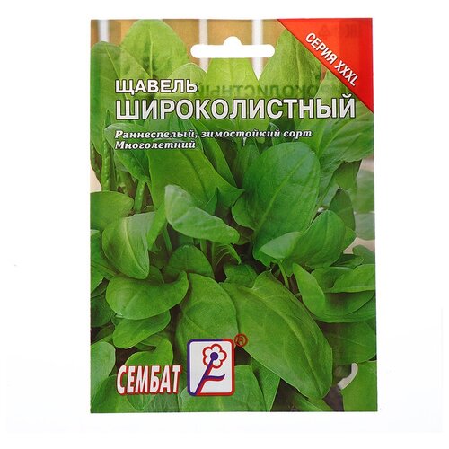 ���������� ������ ���L ������ 