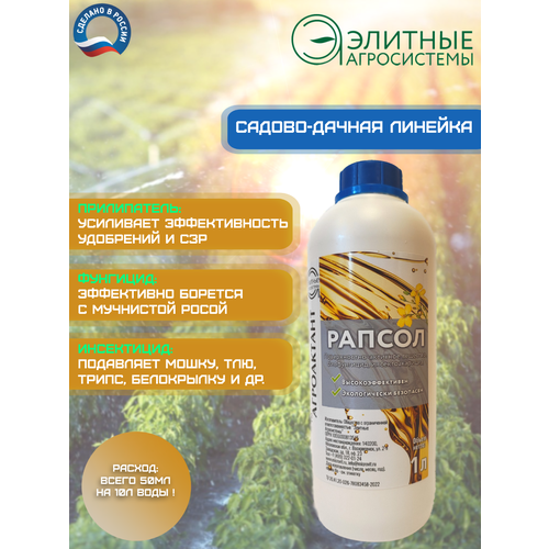 ���������� ������ 1 � - �������� 3 � 1: �����������, ��������, ����������