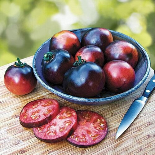 ���������� ������ ����� ����� 5 ���� ����� ���� ������