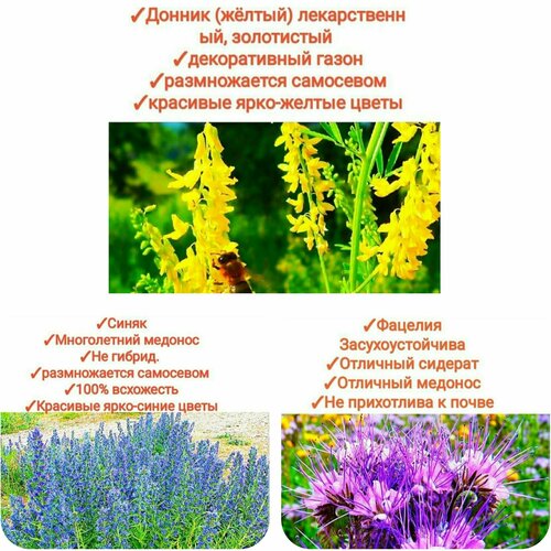 ���������� ����� ���������� ����/���������, 150��(������+�������+�����)�������� ������, premium