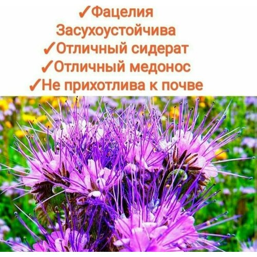 ���������� ������� ������, 20��, �������/������� ��� ����/������, �������� ��������� ������ � ������ �� 100% ����������