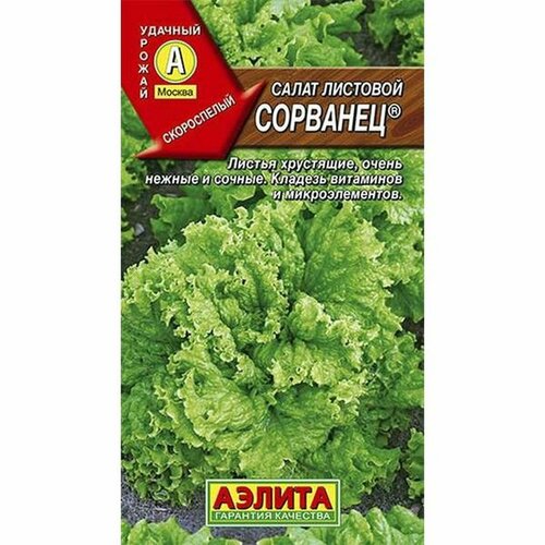 ���������� ������ ����� �������� �, �������� (������) 0,5�