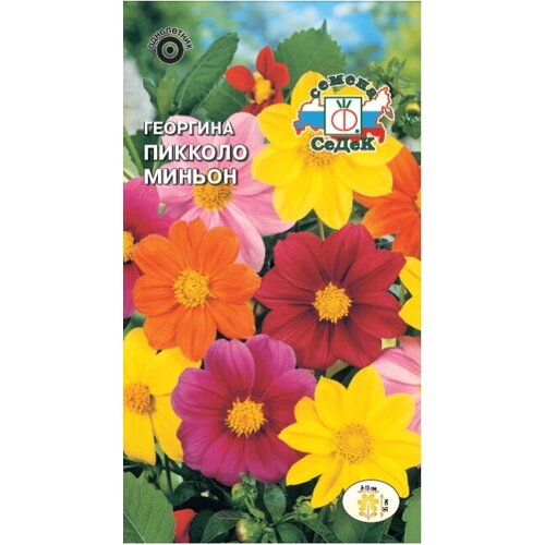 ���������� �������� ������� ������ , 21 ��.