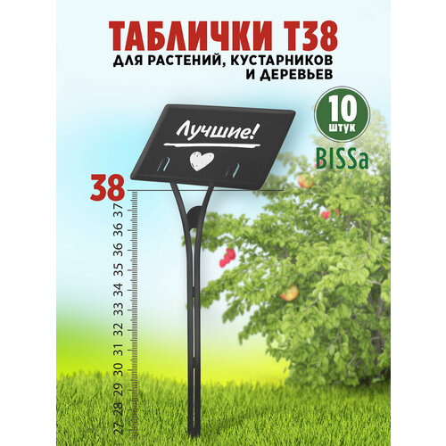 ���������� ������� �������� ��� ��������, Bissa �38, ������, 10 ��