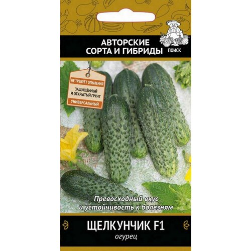 ���������� ������ ������ ��������� F1 12�� ������������������ ������ (�����) �����