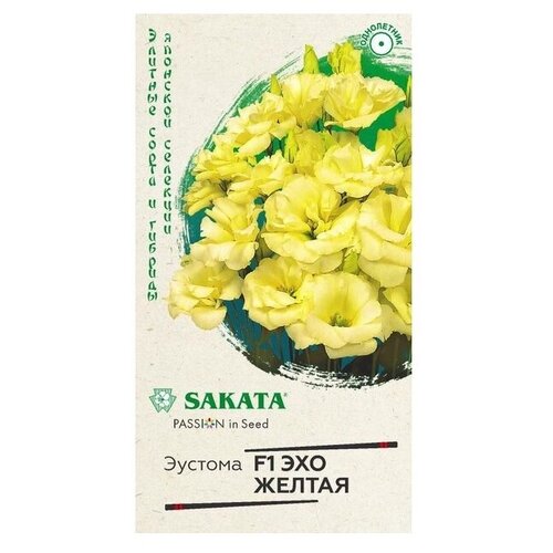 ���������� ������ ������ ��������� ������� F1 ��� ������ 5 ��.