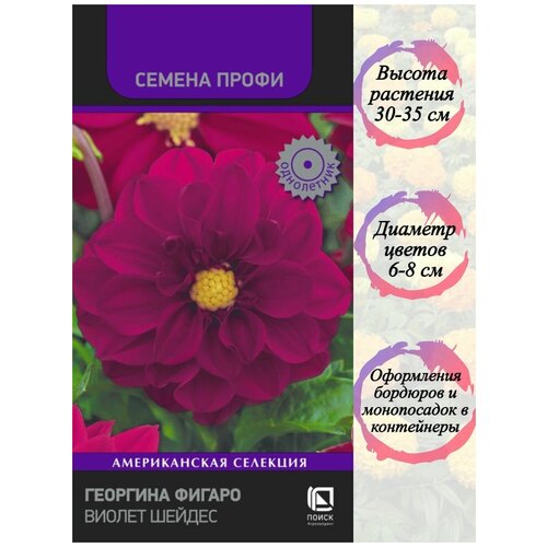 ���������� �������� ������ ������ ������ ������ ����� 10 ��