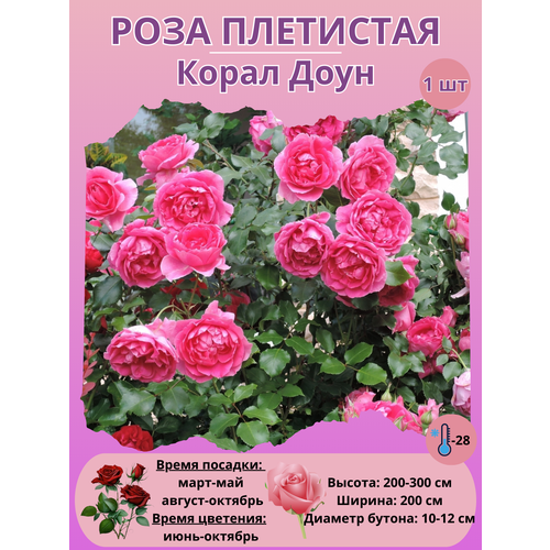 ���������� ���� ��������� ����� ����, ����������� �����