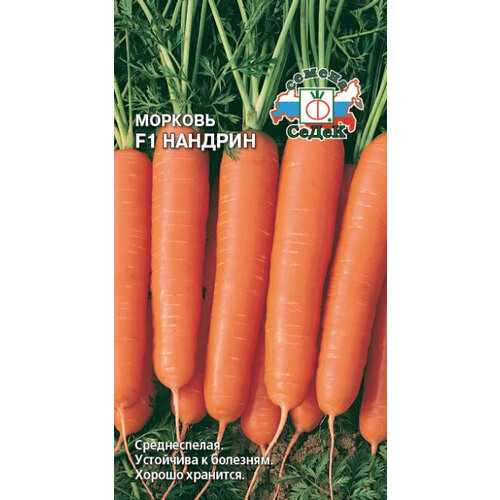 ���������� ������ ������� ������� F1 100�� (�����)