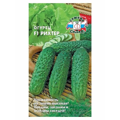 ���������� ������ 